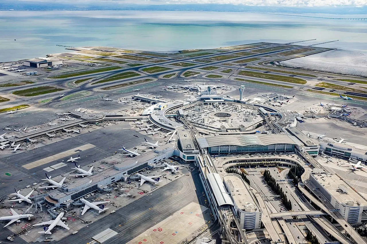 Can My Pet Fly on Delta in 2025?